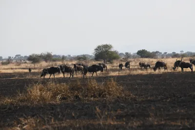 DSC_3383 (Large).JPG